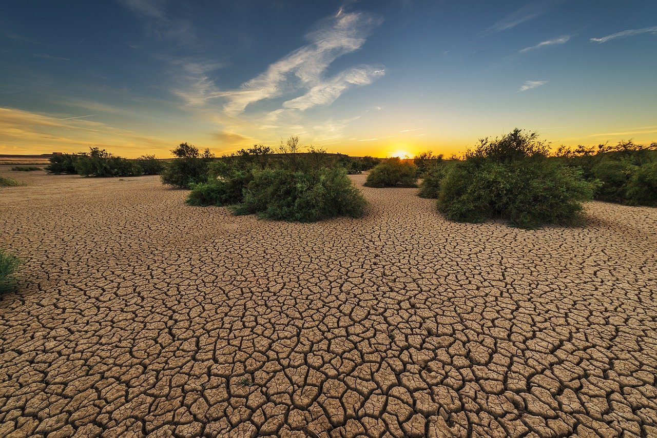 the driest year ever recorded