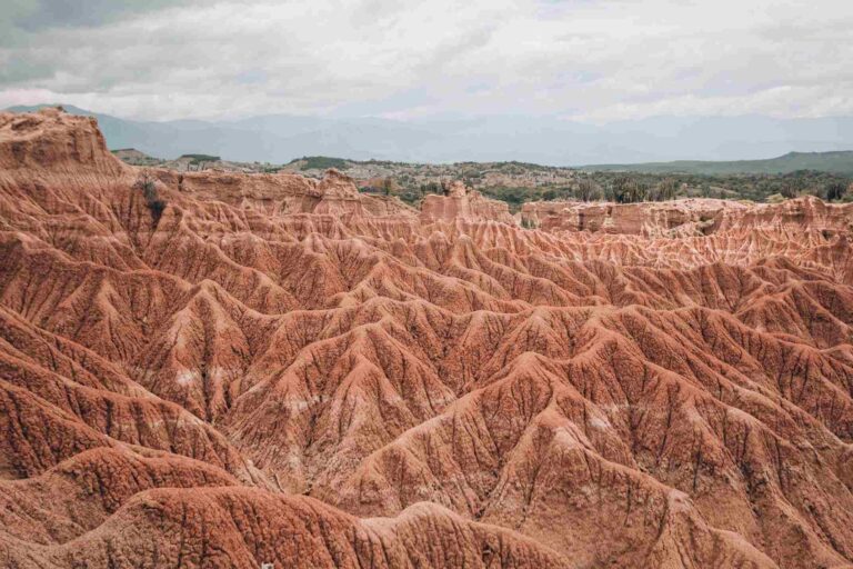 biodiversity loss