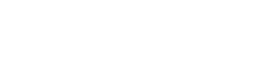 WorldExcellence Logo