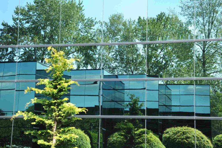 corporate sustainability
