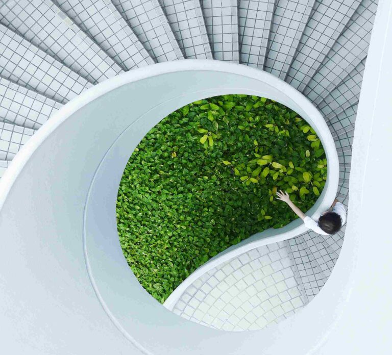sustainable developement
