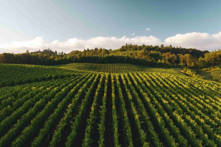 regenerative agricolture