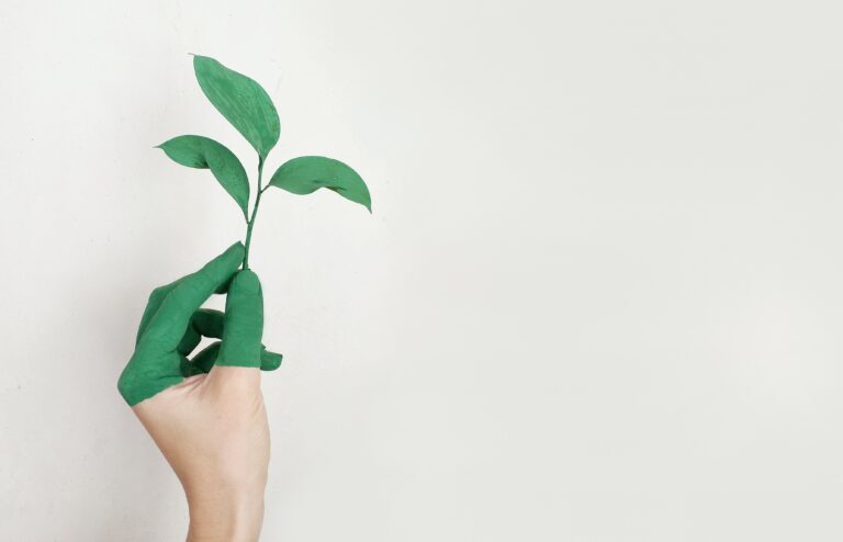 green branding