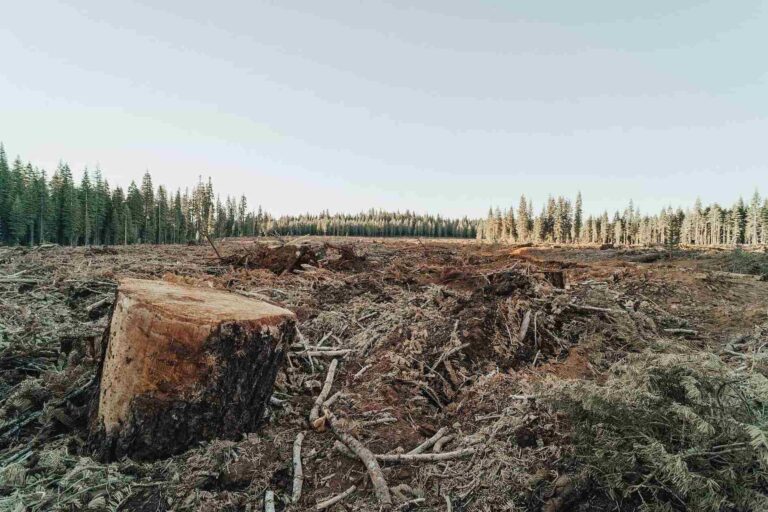 habitat loss