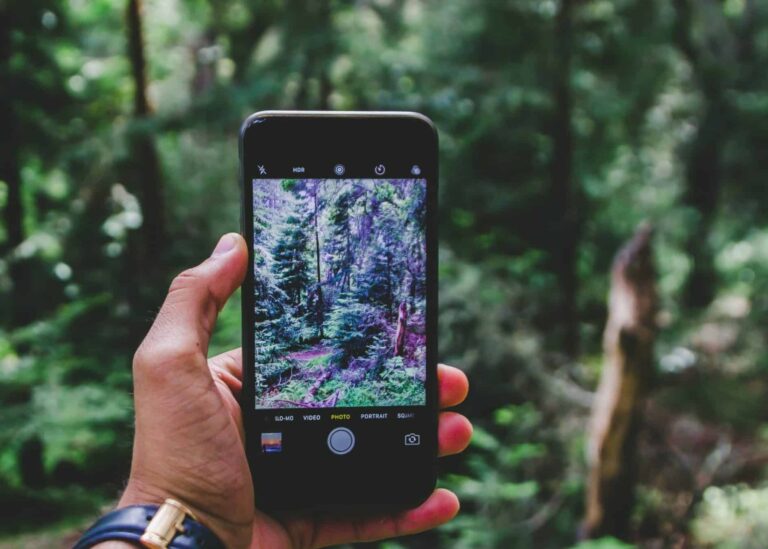plant recognition app