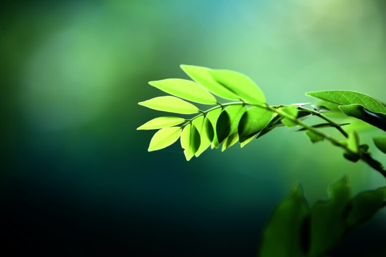 principles green economy