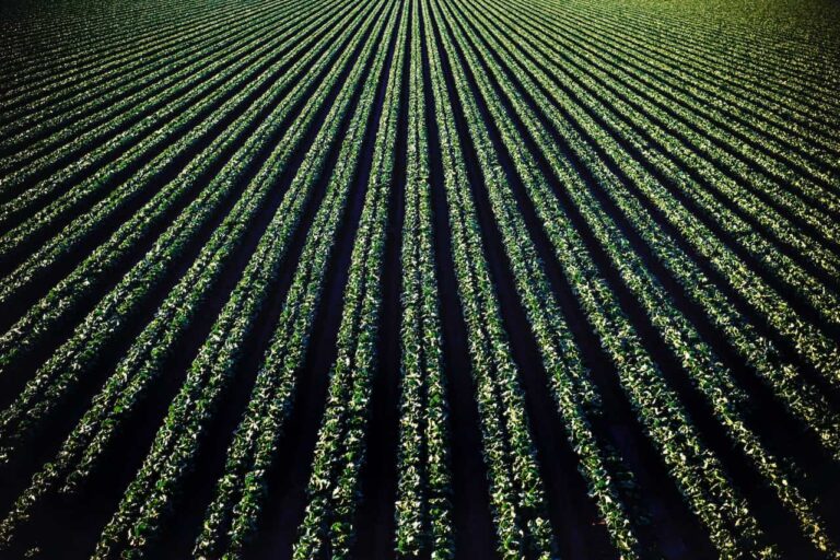 precision agriculture