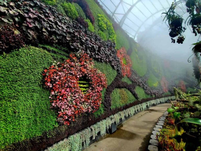 green walls how they are made types costs_1