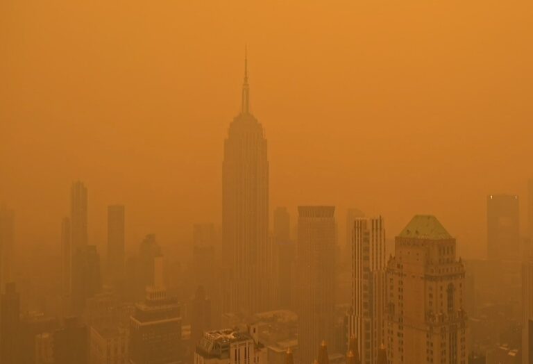 new york smoke cloud