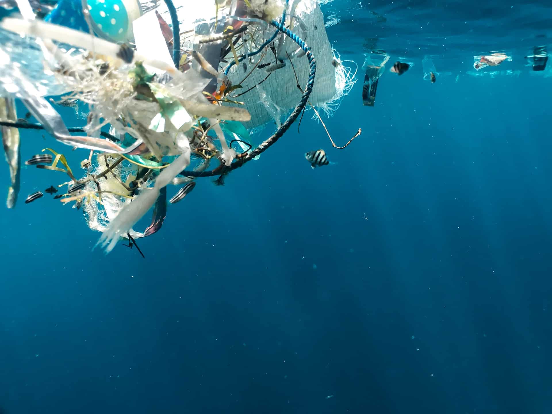 sea pollution consequences