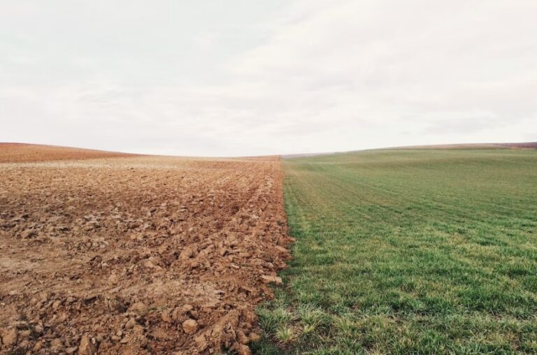 soil degradation