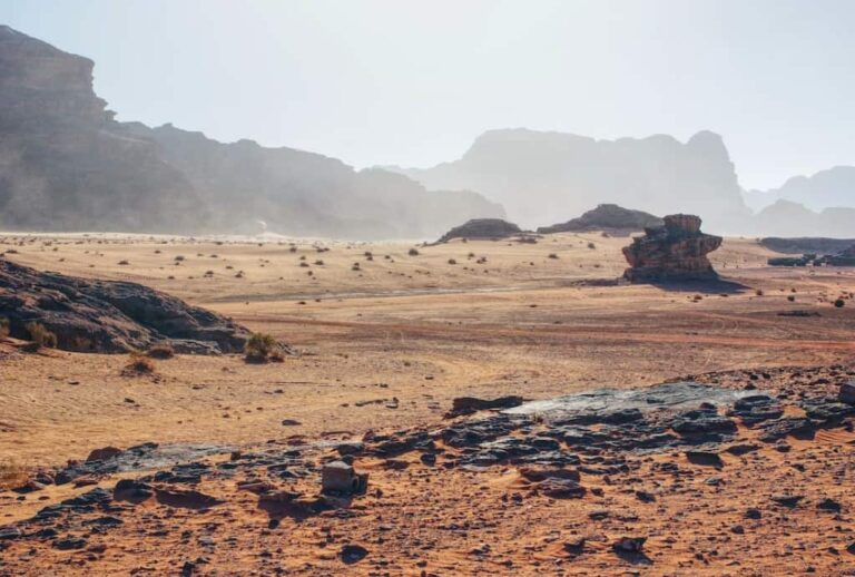 zero harvest desertification