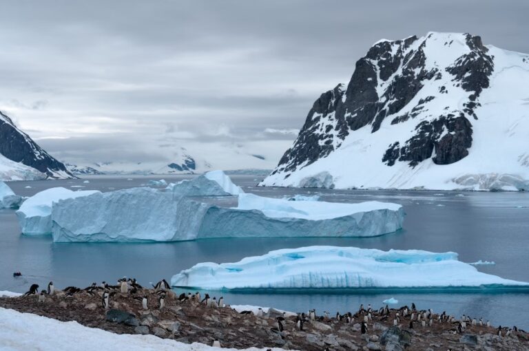 antarctica