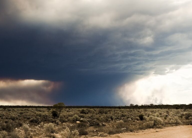 climate anxiety