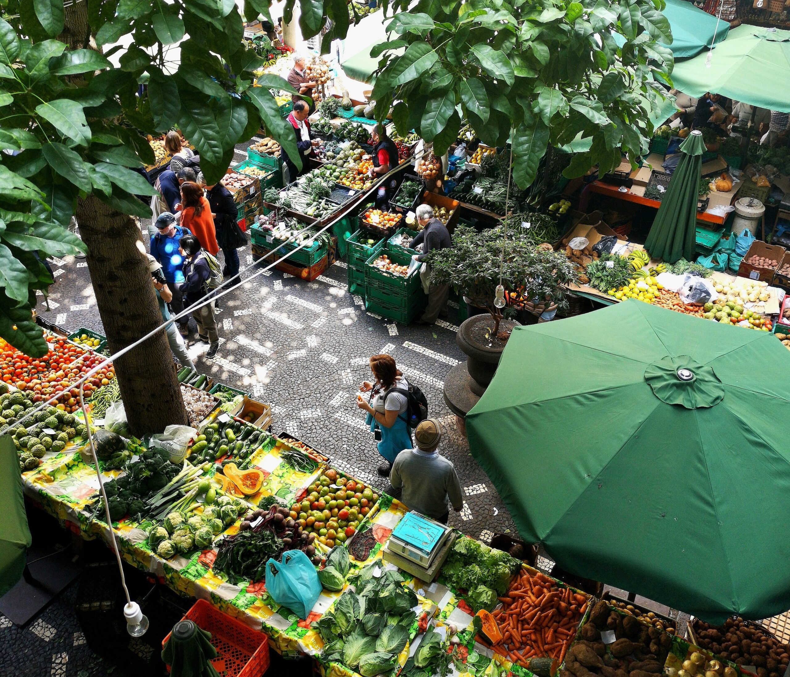 The 7 most vegetarian countries worldwide