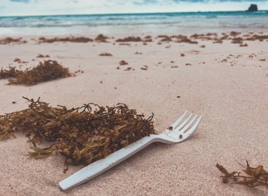 Disposable cutlery and plates goodbye revolution in the UK
