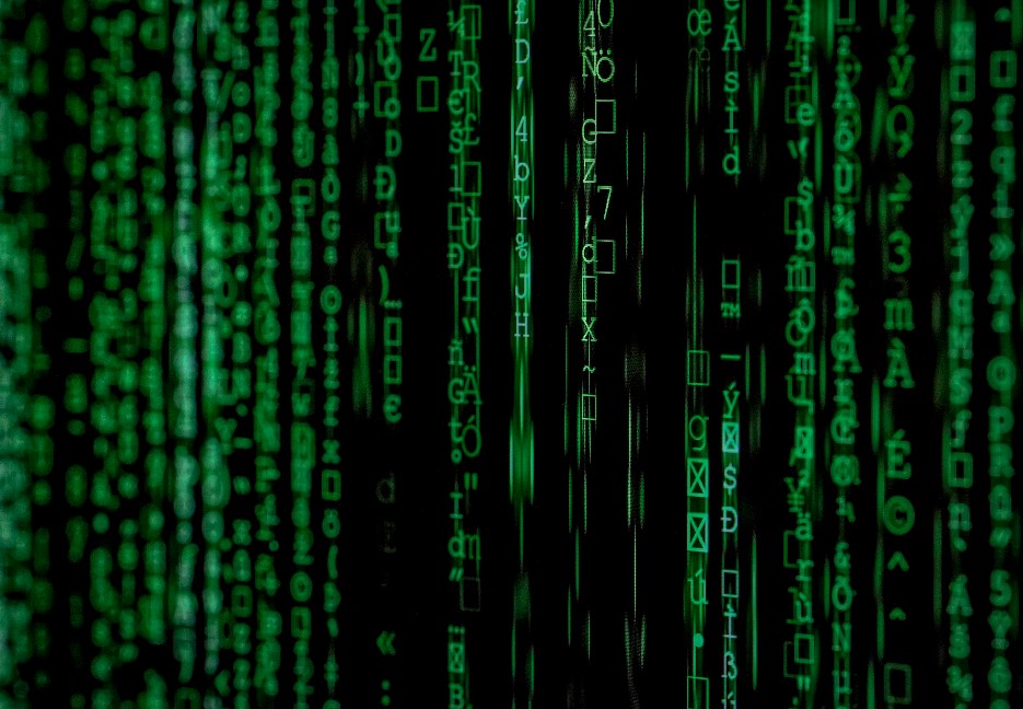 algorithm developer