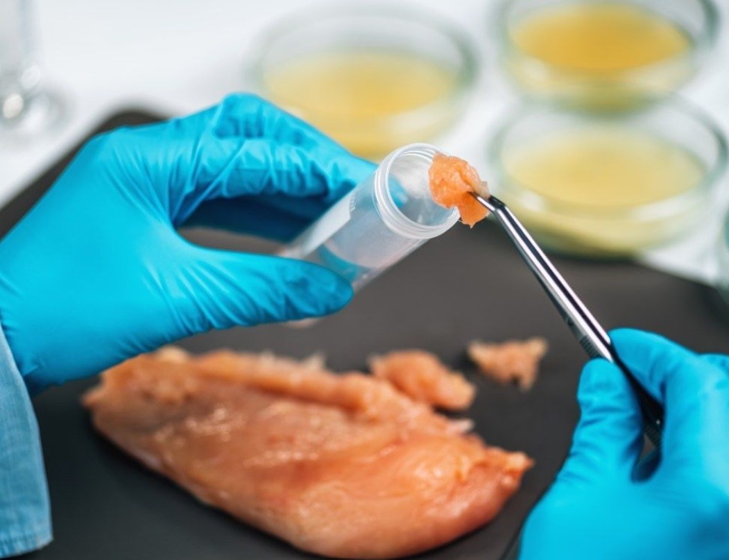 What does labgrown meat taste like?